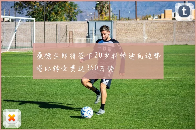 桑德兰即将签下20岁科特迪瓦边锋塔比转会费达350万镑
