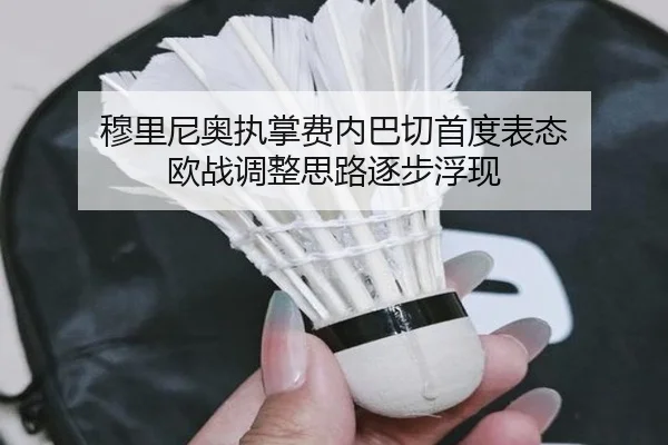 穆里尼奥执掌费内巴切首度表态 欧战调整思路逐步浮现
